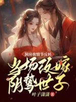 改嫁计划赵慎纪云舒