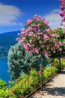 救命！和死对头结婚后他醋疯了