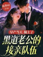 早产当天，撞上了黑道老公的接亲队伍