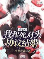 我和死对头先婚后爱了