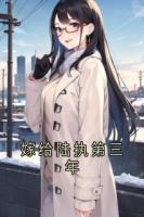 嫁给陆执第三年