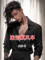 迷情顺风车