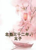 北澜三十二年，太子