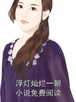 浮灯灿烂一朝小说免费阅读