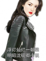 浮灯灿烂一朝梁明昭沈砚卿小说