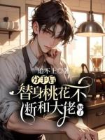 分手后替身桃花不断和大佬HE了