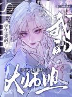 穿成团宠文小说恶毒大师姐