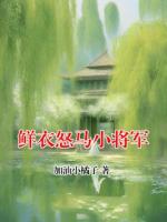 鲜衣怒马小将军