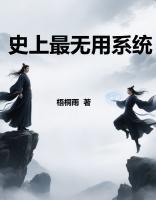 史上最无用系统