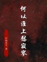 何以淮上慰寂寥