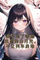 妻子为了等她迟到的白月光，不让列车启动