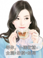 等你，小熊软糖：全篇+后续+结局