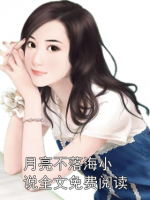 月亮不落海小说全文免费阅读