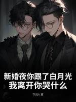 新婚夜你跟了白月光，我离开你哭什么？