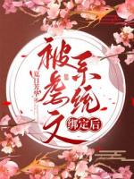 被虐文系统绑定后