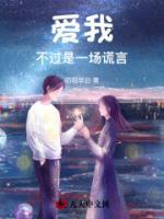 爱我不过是一场谎言
