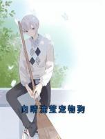 向晴沈莹宠物狗