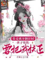 抱歉世子，我已经不想转正了