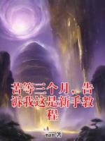 苦等三个月，告诉我这是新手教程