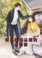 傅氏集团总裁的未婚妻