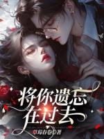 将你遗忘在过去