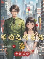军婚之将星沉沦