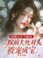 结婚五年当根草，二嫁前夫死对头被宠成宝