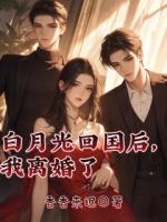 白月光回国后，我离婚了