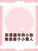 和我撞车的小奶狗是妻子小情人
