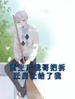 重生后我哥把拆迁房让给了我