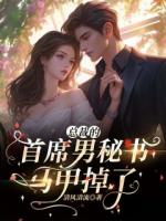 总裁的首席男秘书马甲掉！