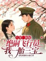 八零：换嫁绝嗣飞行员我一胎三宝