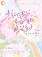 掠她温软：港圈大佬的暗夜缠欢