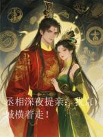丞相大人深夜提亲，我京城横着走