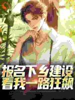 权力巅峰：从基层公务员一路狂飙