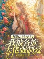 星际：怀孕后我被各族大佬强制爱