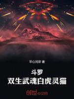 斗罗：双生武魂白虎灵猫