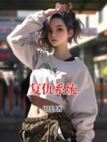 复仇系统