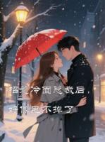 招惹冷面总裁后，好像甩不掉了