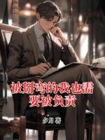 被掰弯的我也需要被负责