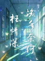 流年奈何枉情深