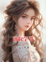 窃取学习
