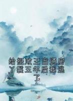 给摄政王当通房丫鬟五年后我逃了