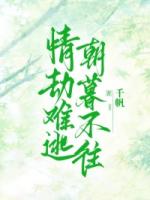 情劫难逃，朝暮不往