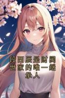 段西辰是财阀世家的唯一继承人