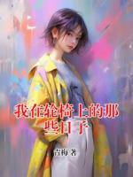 我在轮椅上的那些日子