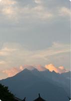 假死丈夫？我让他真死！