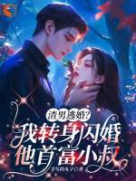 闪婚豪门大佬后，我成渣男婶婶了