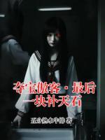 夺宝傲客·最后一块补天石