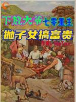 下放大爷七零重生，抛子女搞富贵